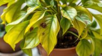 plant health diagnostic guide