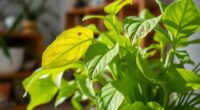 plant health diagnostic guide