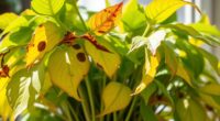 plant health troubleshooting guide
