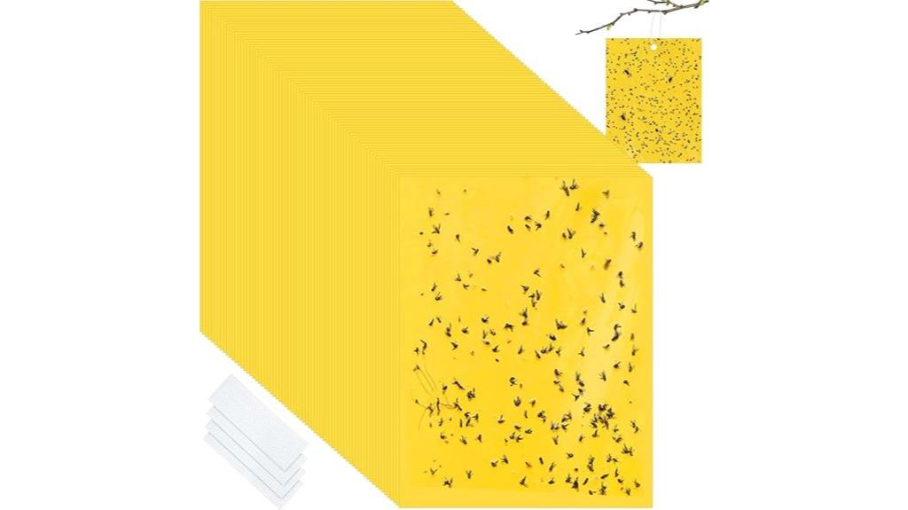 plant trap pack quantity