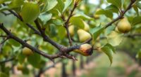 precise pruning for fire blight
