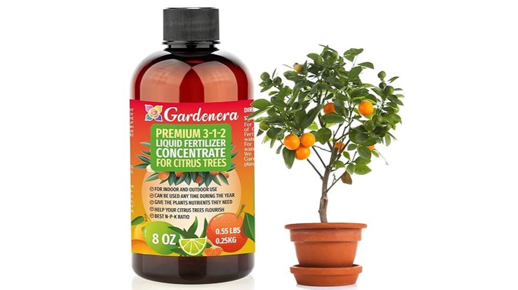 premium citrus tree fertilizer