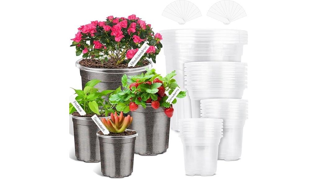 reinforced clear nursery pots