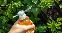 safe neem oil application