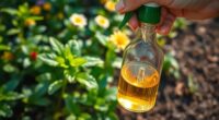 safe neem oil application