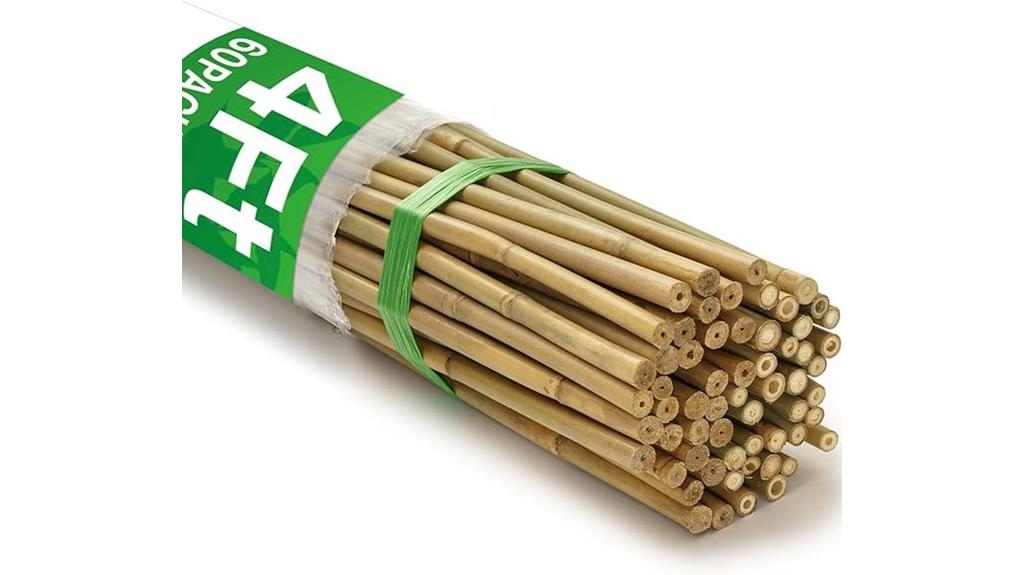 set of sixty bamboo plant stakes