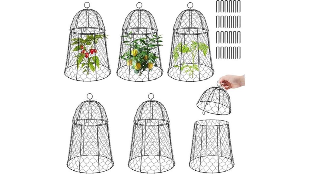 six plant cloches set
