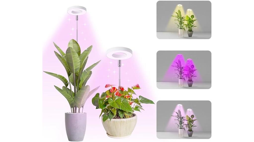 small indoor plant lighting