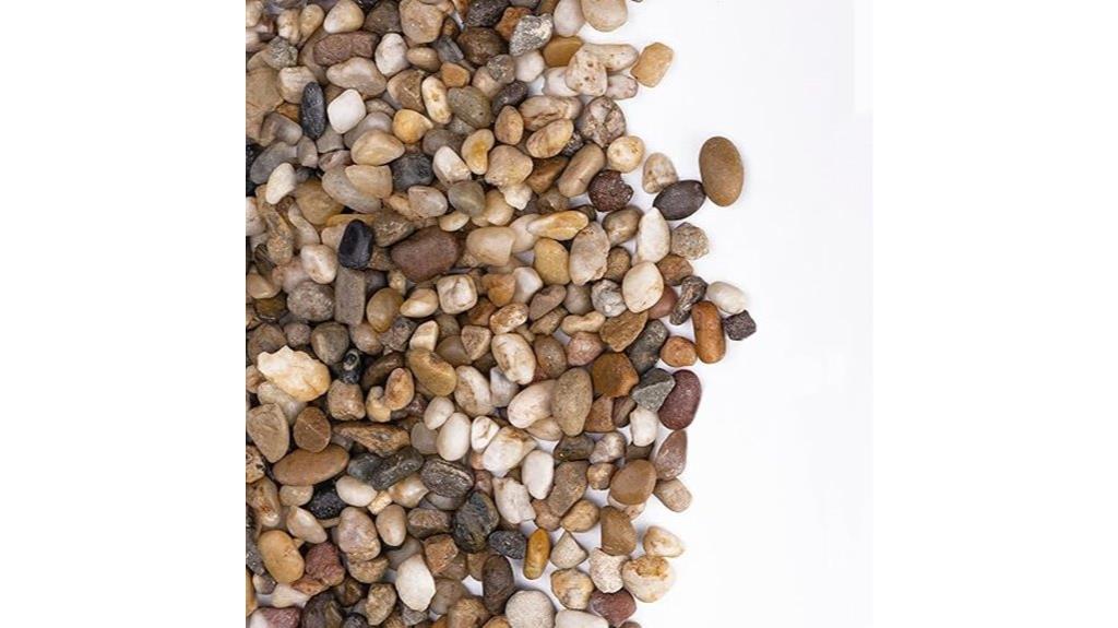 small potted plant drainage rocks