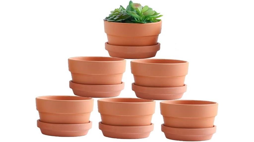 small terracotta plant pots