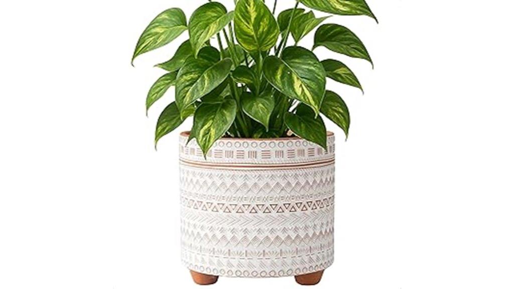 terracotta 8 inch planter