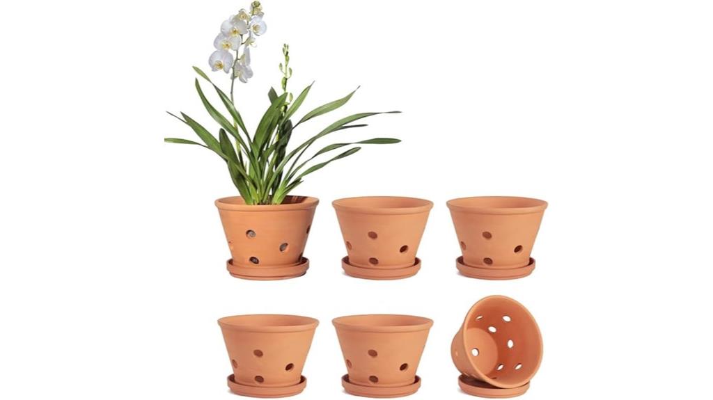 terracotta orchid pot set
