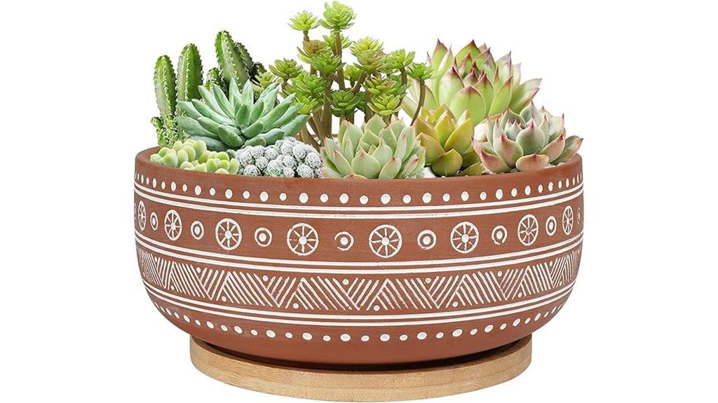 terracotta succulent planter with tray