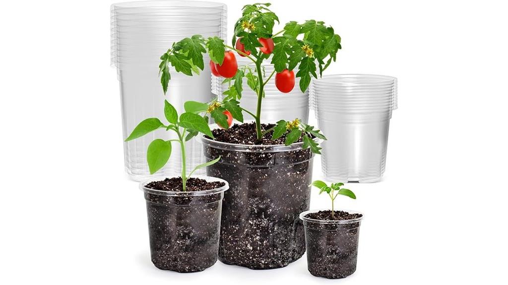 thirty clear nursery pots