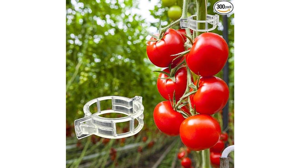 tomato plant support clips