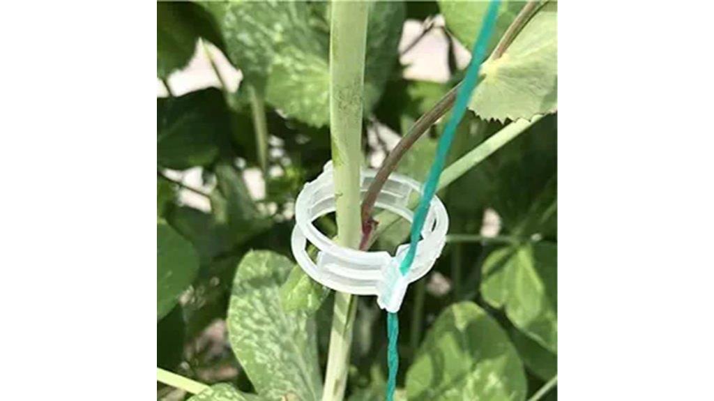 tomato support clips set