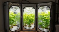 top apartment grow tents