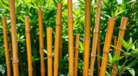 top bamboo garden support