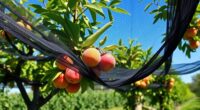 top bird netting options