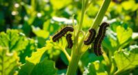 top bt caterpillar control solutions