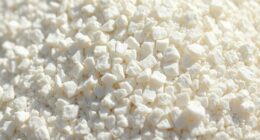 top coarse perlite for gardens