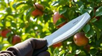 top fruit tree pruning saws
