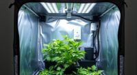 top grow tent kits
