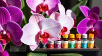 top orchid fertilizer picks