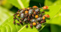 top pest identification guides