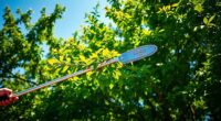 top pole saw pruners