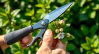 top pruning shears 2025