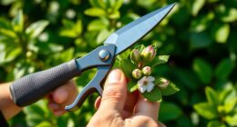 top pruning shears 2025