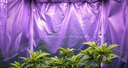 top reflective grow tent liners