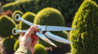 topiary hedge shears guide
