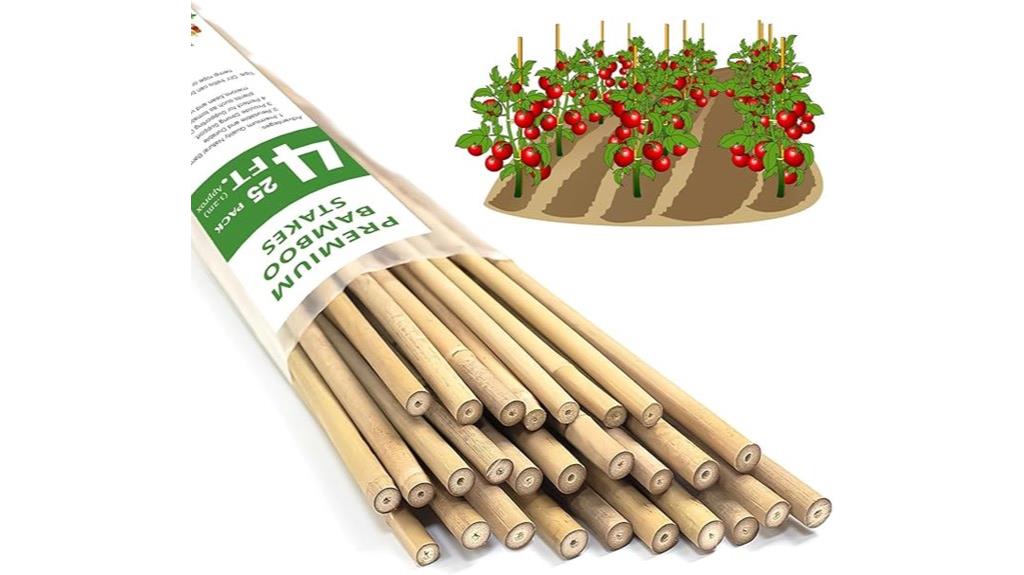 twenty five natural bamboo stakes