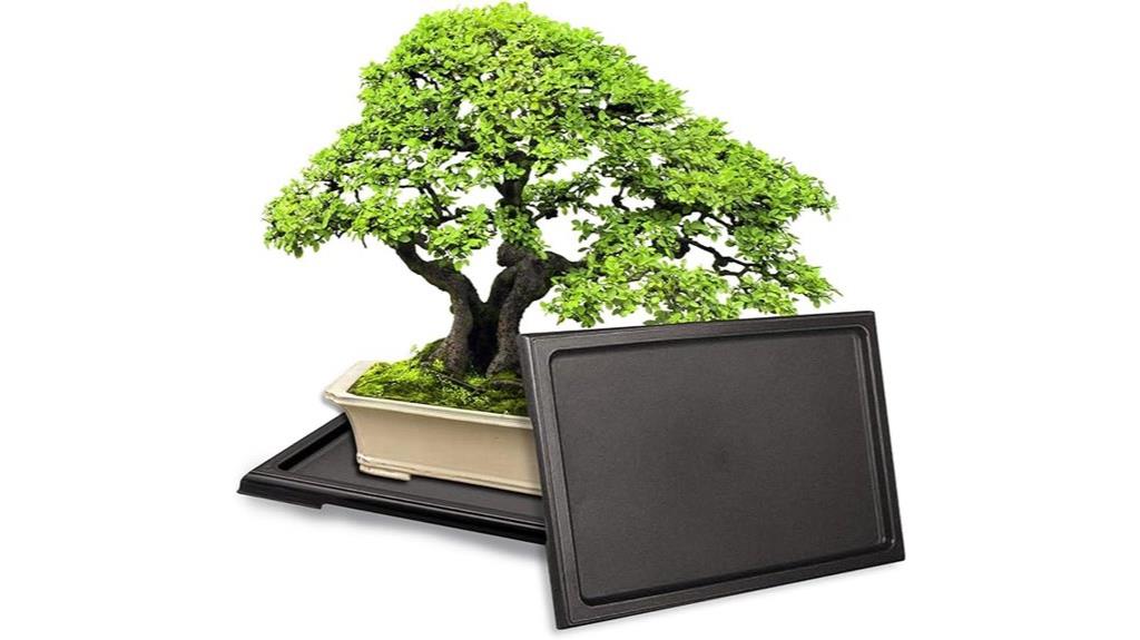 two bonsai humidity trays