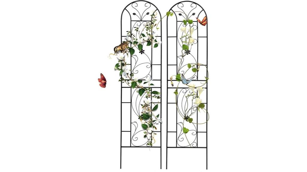 two metal garden trellises