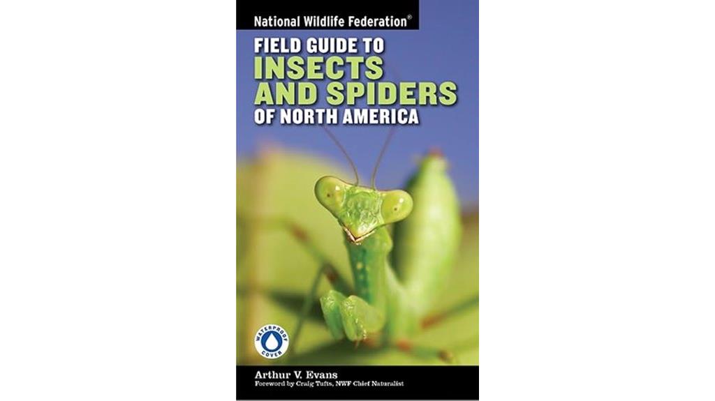 wildlife insects and spiders