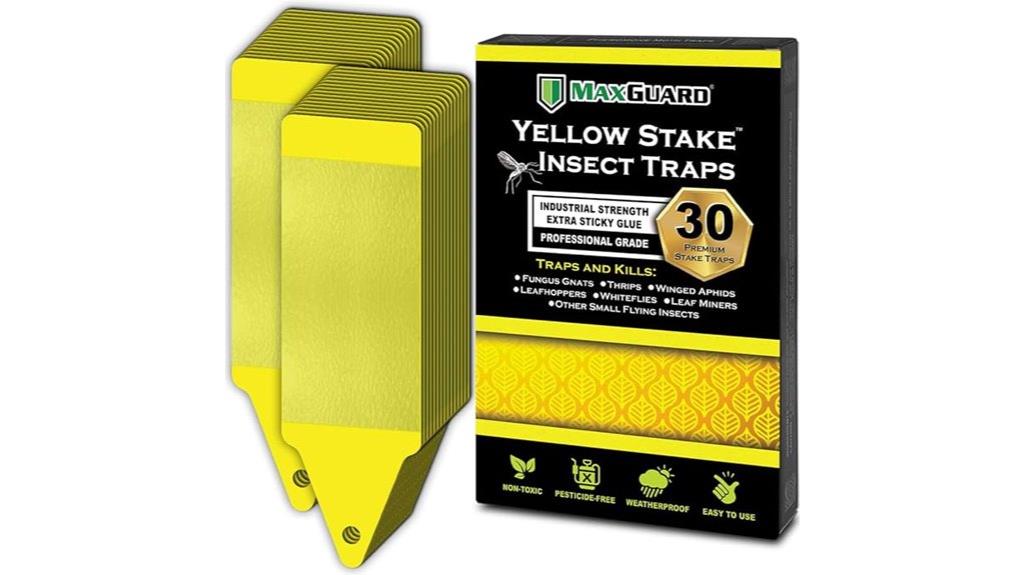 yellow stake sticky bug traps
