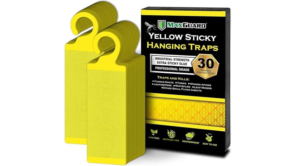 yellow sticky insect traps