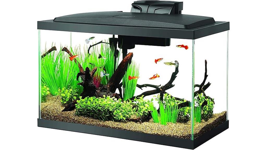 10 gallon fish tank