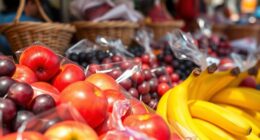 advantages and disadvantages overview