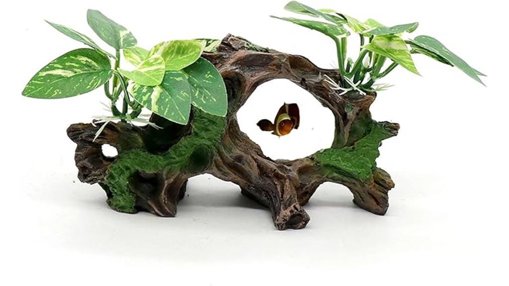 aquarium driftwood plant decor