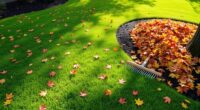 controlling yard leaf fall