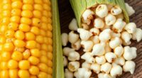 corn pest differences explained