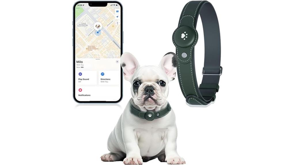 dog gps tracker real time