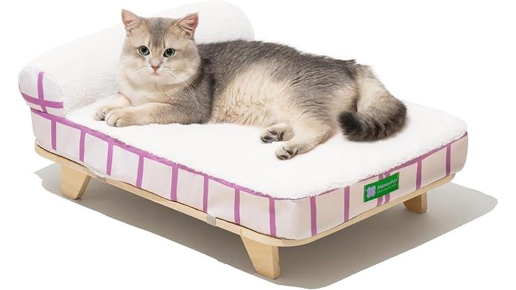 elevated washable cat bed