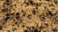 enhancing sandy soil organically