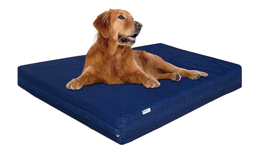 extra large orthopedic bed