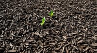 ideal mulch depth guidelines